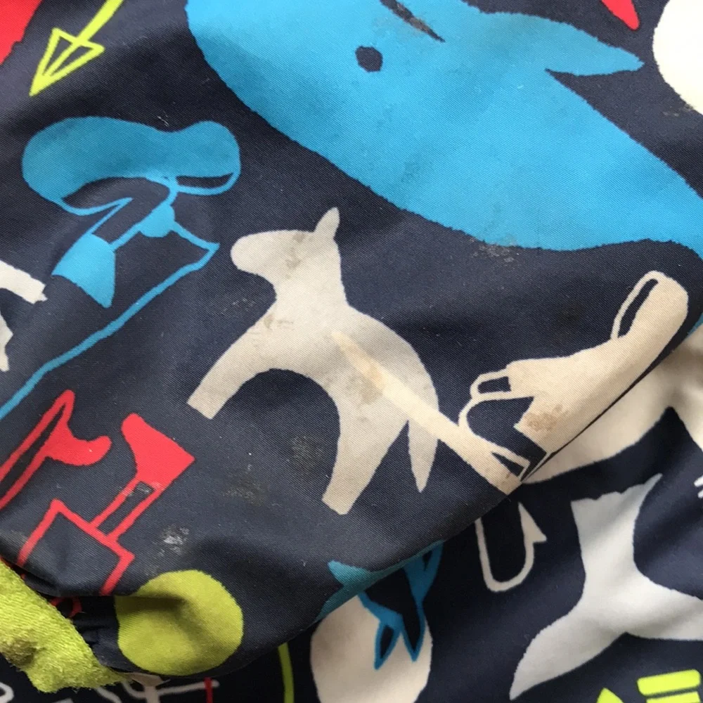 Patagonia Reversible Jacket